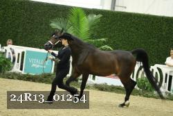 24R13_01254 thumbnail