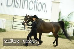 24R13_01255 thumbnail