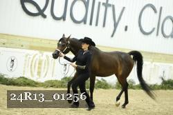 24R13_01256 thumbnail