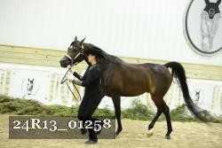 24R13_01258 thumbnail