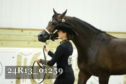 24R13_01259 thumbnail