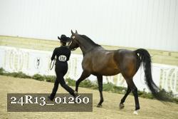 24R13_01260 thumbnail