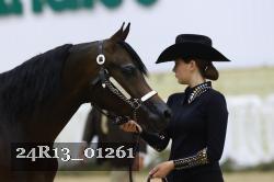 24R13_01261 thumbnail