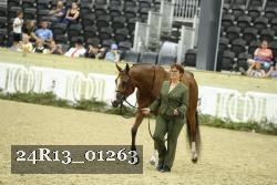 24R13_01263 thumbnail