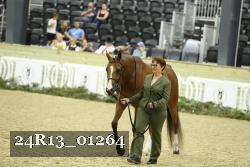 24R13_01264 thumbnail