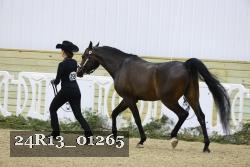 24R13_01265 thumbnail
