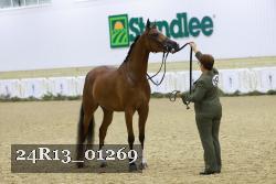 24R13_01269 thumbnail