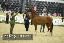 24R13_01274 thumbnail
