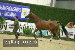 24R13_01276 thumbnail