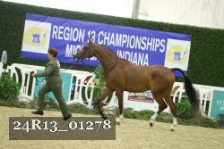 24R13_01278 thumbnail