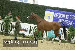 24R13_01279 thumbnail