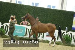 24R13_01280 thumbnail