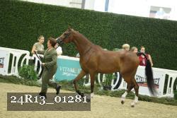 24R13_01281 thumbnail