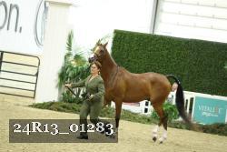 24R13_01283 thumbnail