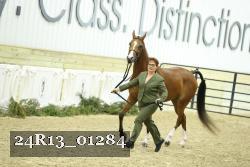 24R13_01284 thumbnail