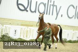 24R13_01285 thumbnail
