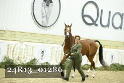 24R13_01286 thumbnail
