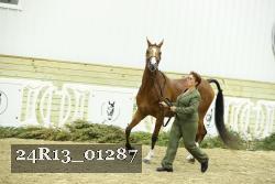 24R13_01287 thumbnail