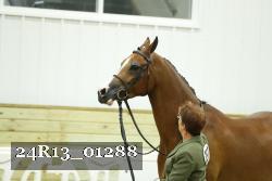 24R13_01288 thumbnail