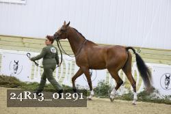 24R13_01291 thumbnail