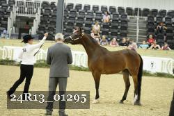 24R13_01295 thumbnail