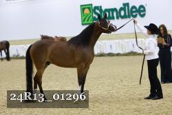 24R13_01296 thumbnail