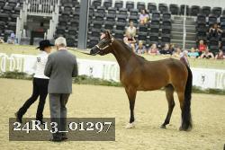 24R13_01297 thumbnail