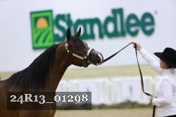 24R13_01298 thumbnail