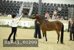 24R13_01299 thumbnail