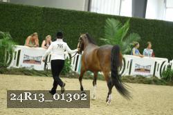 24R13_01302 thumbnail