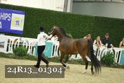 24R13_01304 thumbnail