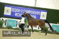 24R13_01305 thumbnail