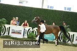 24R13_01306 thumbnail