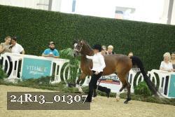 24R13_01307 thumbnail