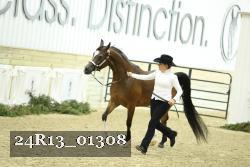 24R13_01308 thumbnail