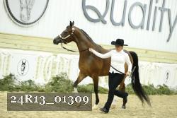 24R13_01309 thumbnail