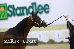 24R13_01310 thumbnail