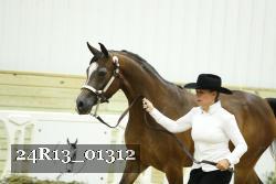 24R13_01312 thumbnail