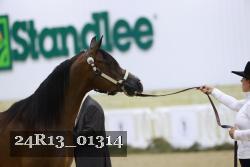 24R13_01314 thumbnail