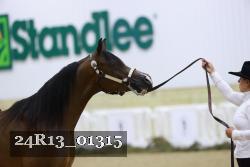 24R13_01315 thumbnail