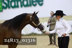24R13_01316 thumbnail