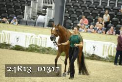 24R13_01317 thumbnail