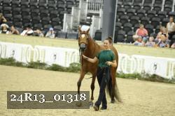 24R13_01318 thumbnail