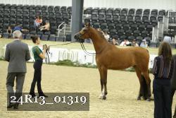 24R13_01319 thumbnail