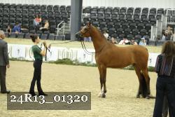 24R13_01320 thumbnail