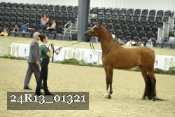 24R13_01321 thumbnail
