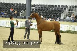 24R13_01322 thumbnail