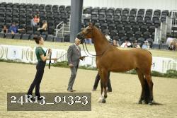 24R13_01323 thumbnail