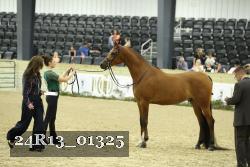 24R13_01325 thumbnail