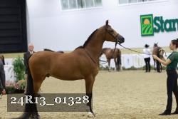 24R13_01328 thumbnail